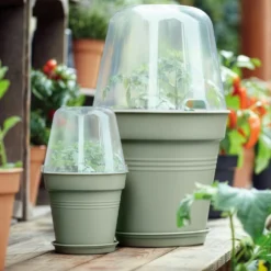 Anzuchttopf Green Basics Steingrün - Sofort startklar