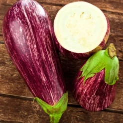 Aubergine 'Listada de Gandia' - Gestreift, mild, sonnengereift
