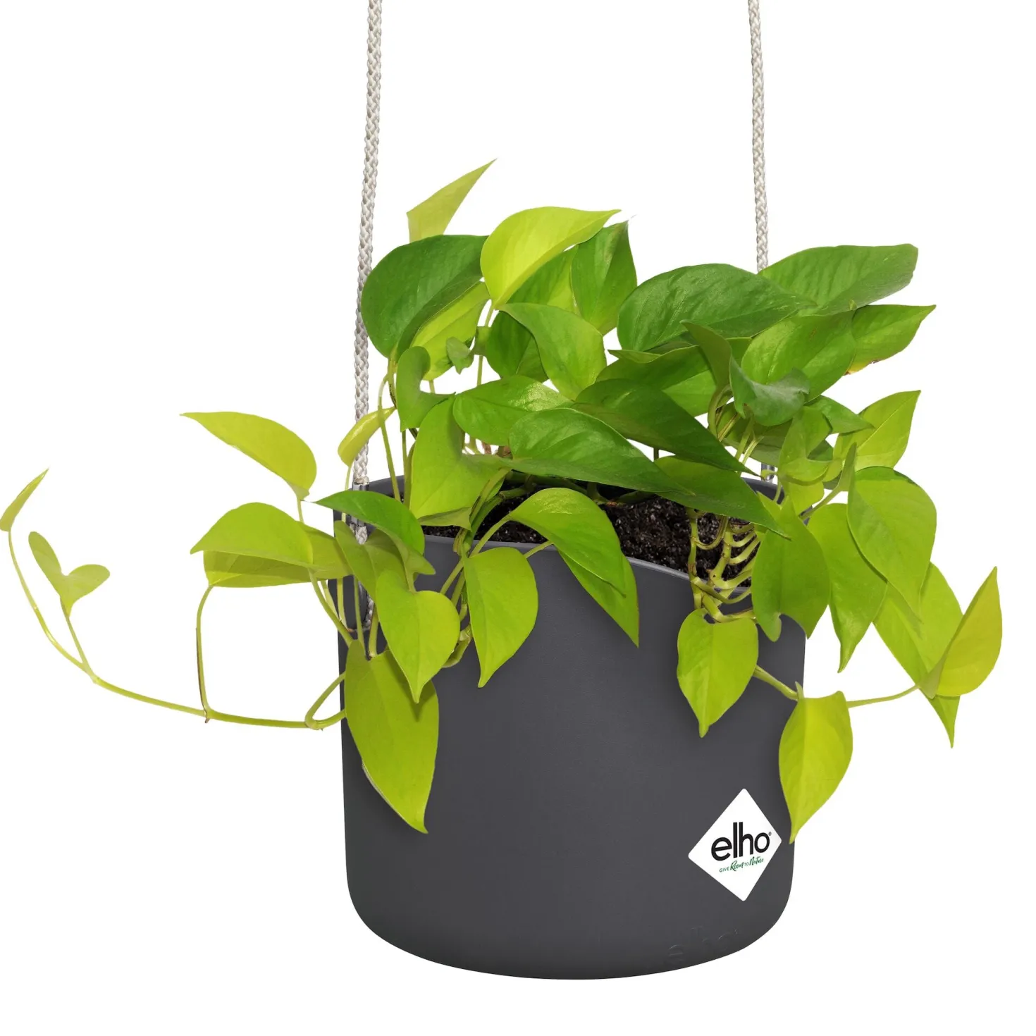 Aufhängung B für Swing grau ELHO - Hängt. Sitzt. Fertig
