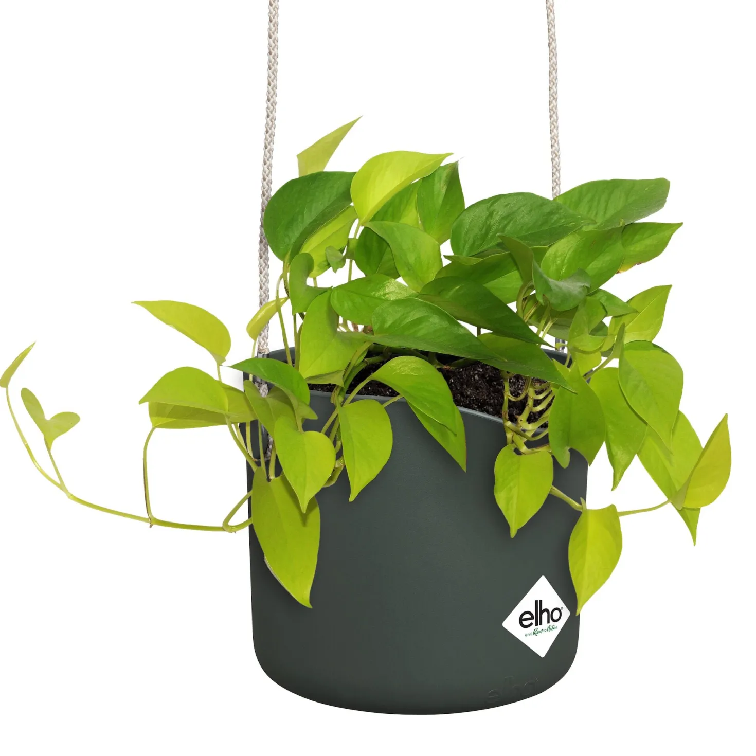 Aufhängung B für Swing grün ELHO