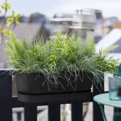 Balkonkasten Greenville Living schwarz - Balkon sofort verschönert