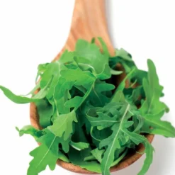 Biologisch angebaute Rucola - Ernte in nur 4 Wochen