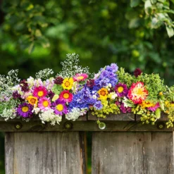Blumen Saatmatte für Blumenkästen - Volle Blüte ohne Aufwand