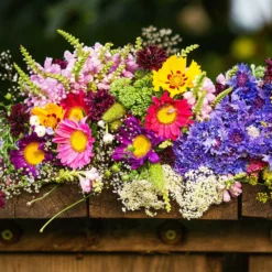 Blumen Saatmatte für Blumenkästen - Volle Blüte ohne Aufwand