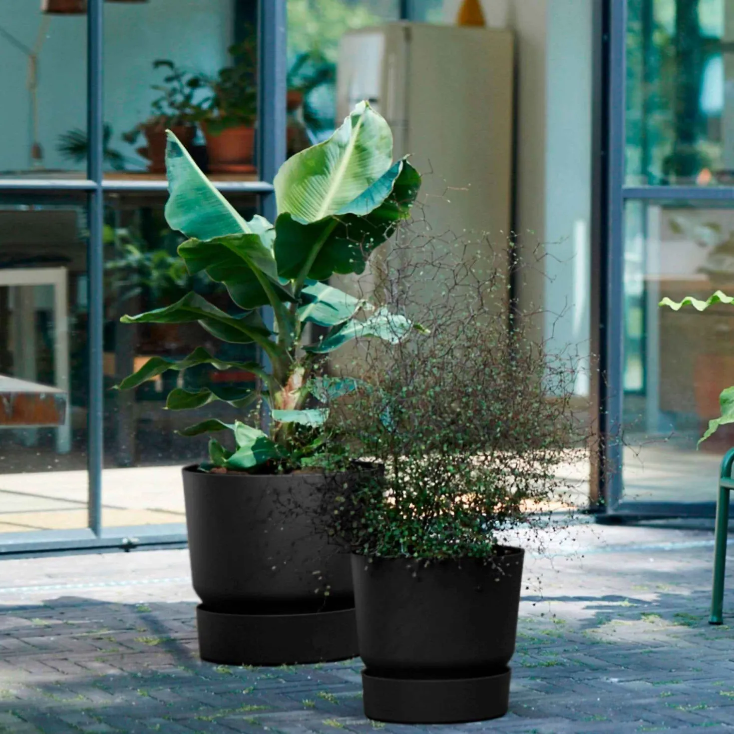 Blumentopf Greenville Living schwarz - Sofort mehr Stil zuhause