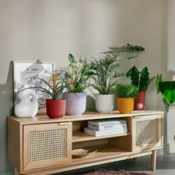 Blumentopf Jazz lila ELHO - Sofort mehr Farbe im Raum