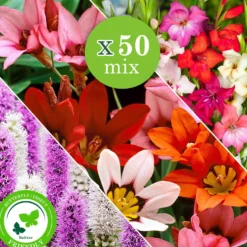 Blumenzwiebel Mischung 'For Bees & Butterflies' (x50) - Ein Garten voller Leben