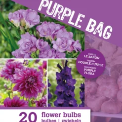 Blumenzwiebel Mischung 'The Purple Bag' (x20) - 20 Zwiebeln, ein Farbrausch