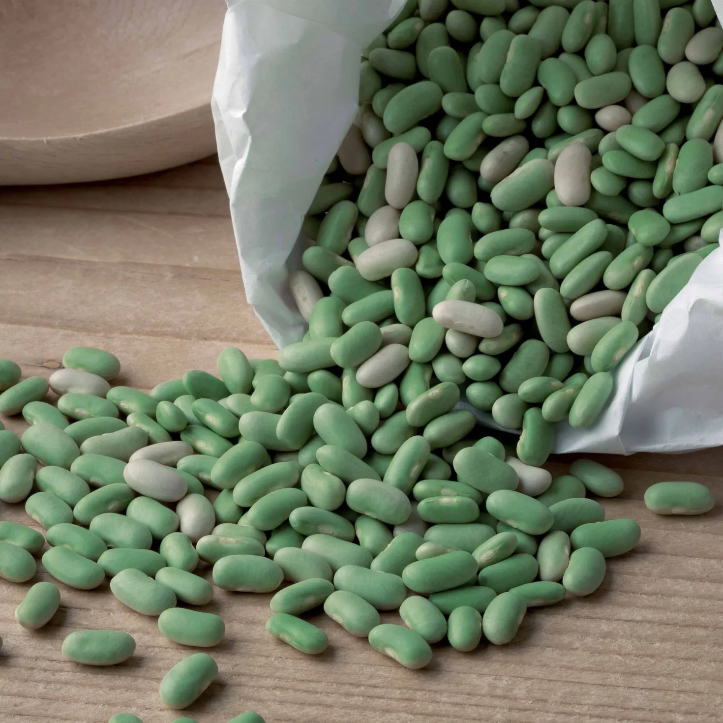 Buschbohne ‘Chevrier vert Flagrano’ - Zarte Flageolets ernten