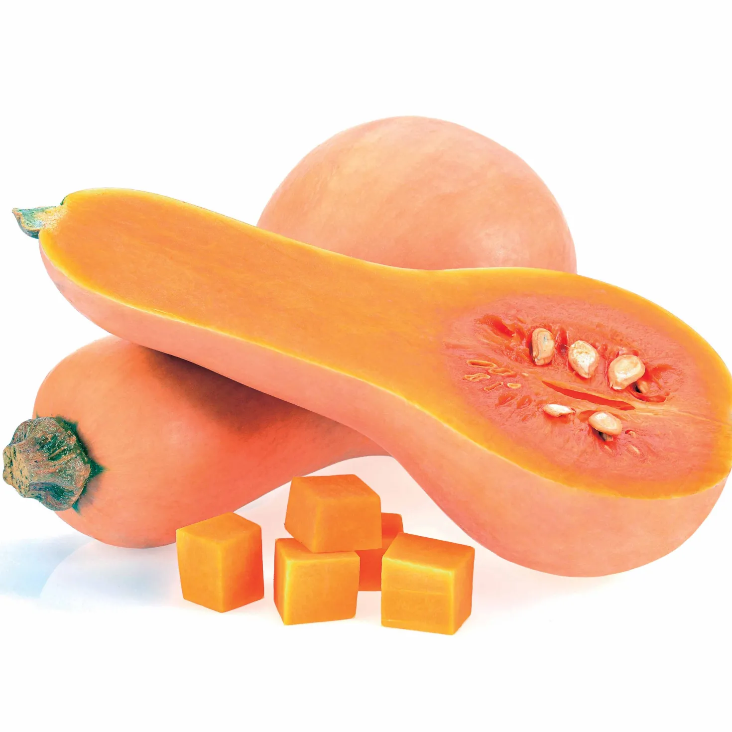 Butternut-Kürbis ‘Hercules’ F1 - Cremig süß, lange lagerbar