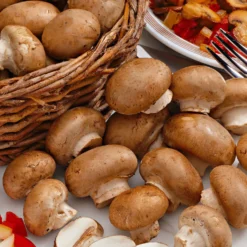 Champignon-Zuchtset Braune Champignons - Ernte in wenigen Wochen