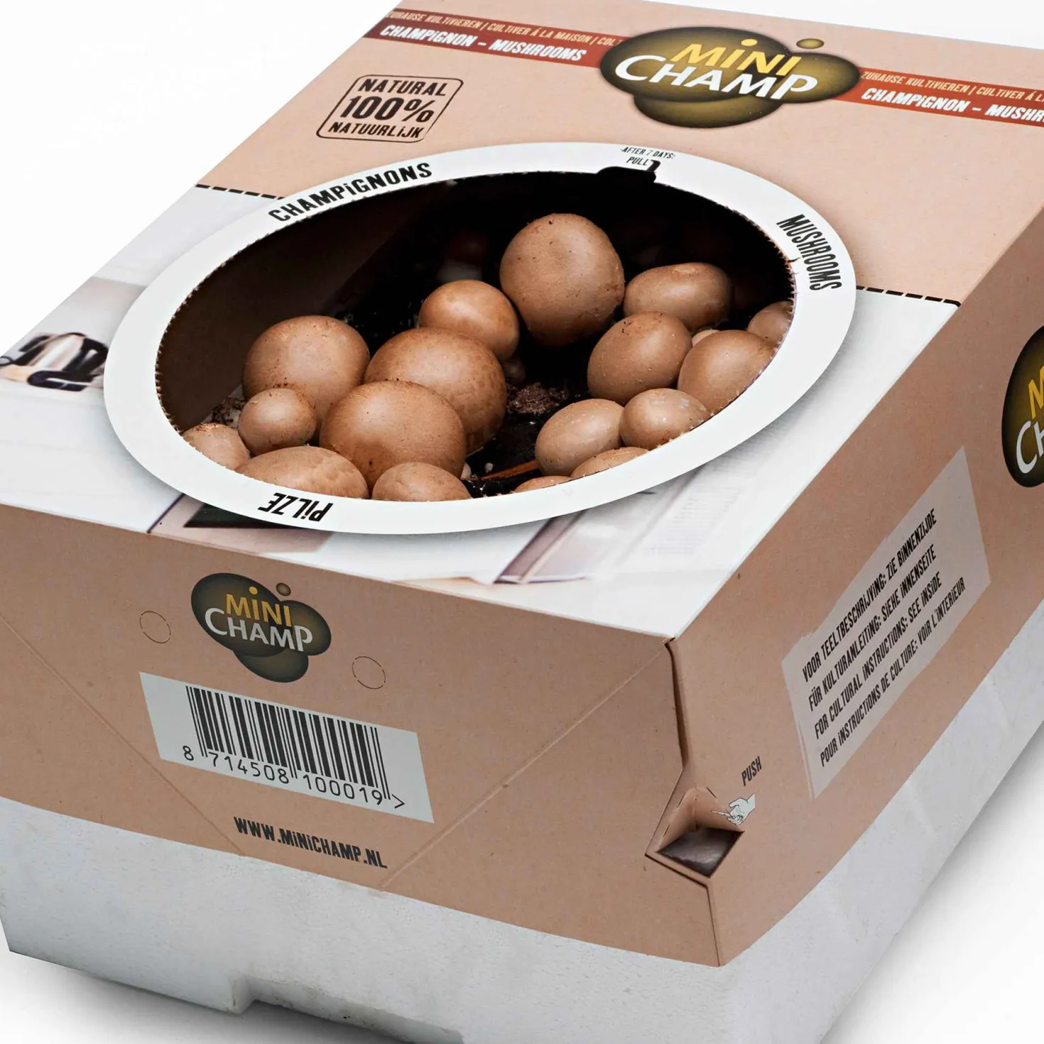 Champignon-Zuchtset Braune Champignons - Ernte in wenigen Wochen
