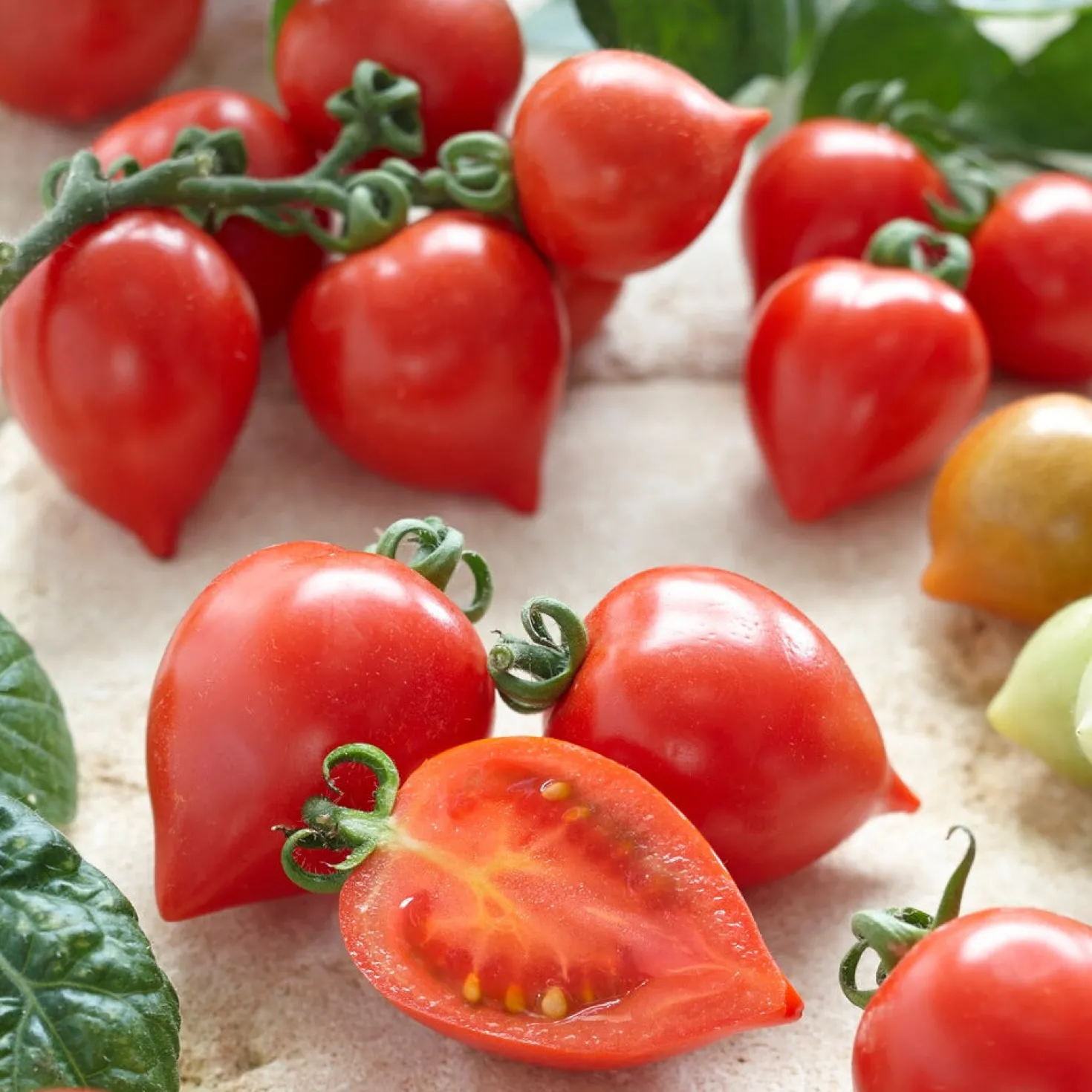 Cherrytomate ‘Heartbreaker Vita’ F1 - Herzchen-Tomaten zum Naschen
