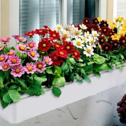 Dahlien 'Topmix' (x5) - Farbenmeer ohne Aufwand