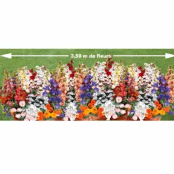 Duftende Blumenmischung - Bunte Blüten voller Duft
