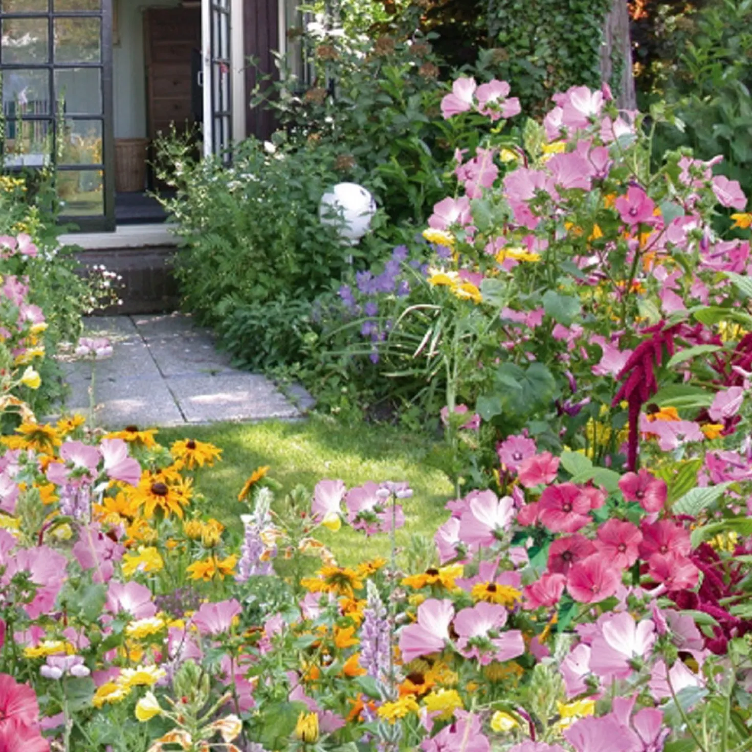 Einjährige Blumenmischung Cottage Garden (5 m²) - Ein Sommer voller Farben
