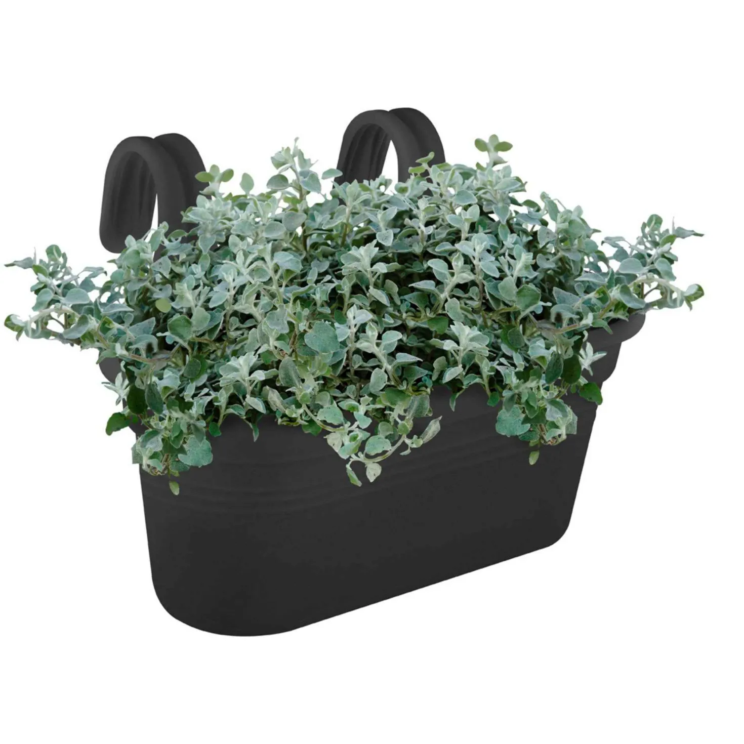 Elho Balkonkasten Green Basics Easy Hänger, groß oval schwarz - Sofort begrünter Balkon