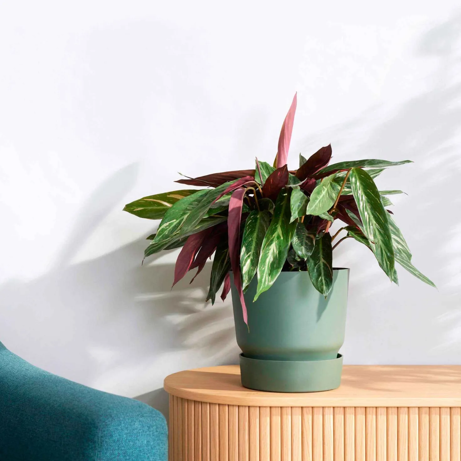Elho Blumentopf 'Greenville Leaf Green' - Sofort mehr Grün zu Hause