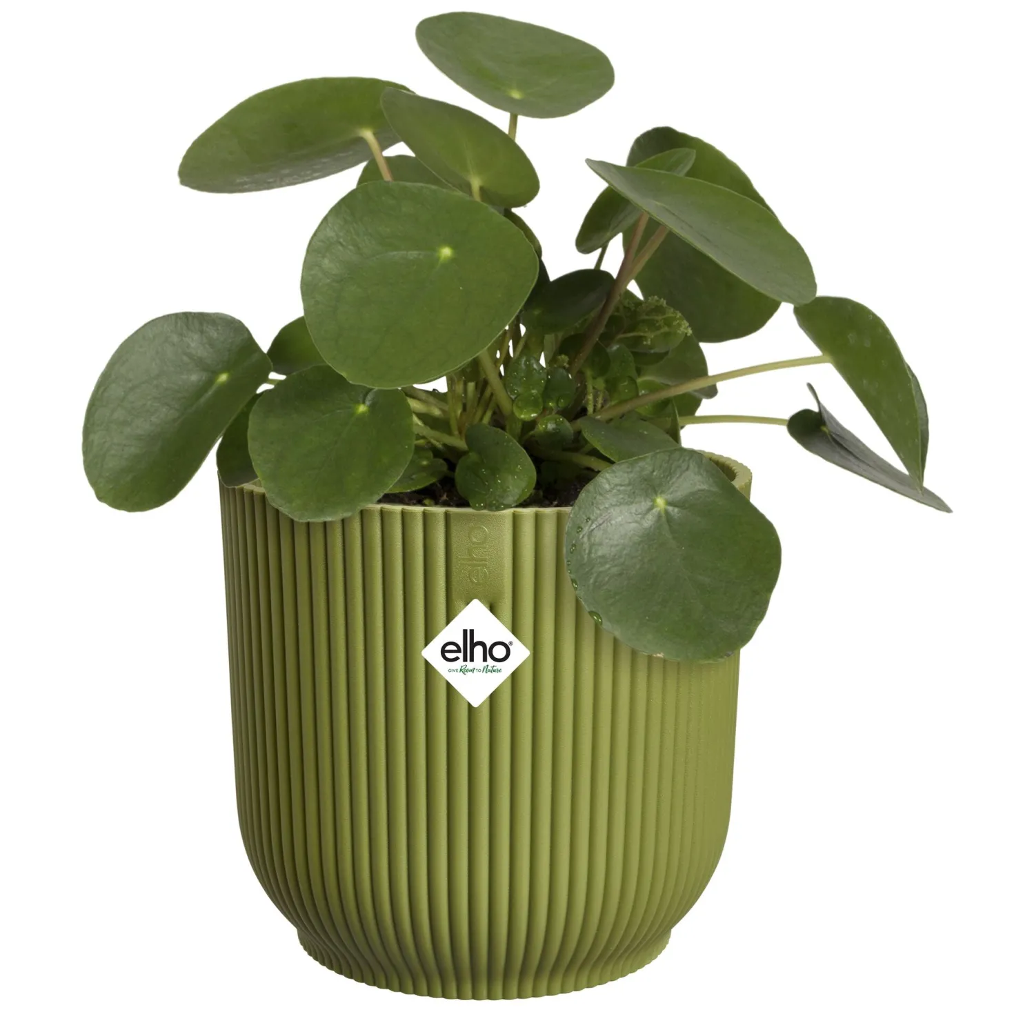 Elho Blumentopf Vibes fold rund ferngrün - Sofort mehr Stil im Raum