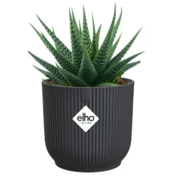 Elho Blumentopf Vibes fold rund anthrazit - Sofort mehr Stil im Raum