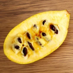 ??? - Exotik direkt aus dem Garten
