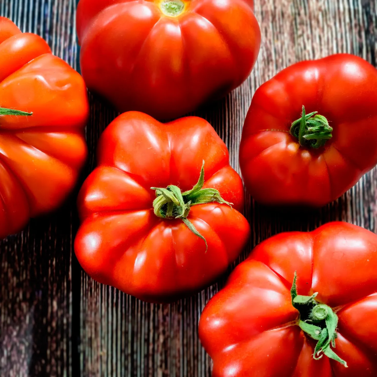Fleischtomate Marmande - Saftig, aromatisch, einfach