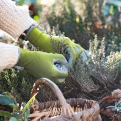 Gartenhandschuhe grün-anis - Schutz sofort einsatzbereit