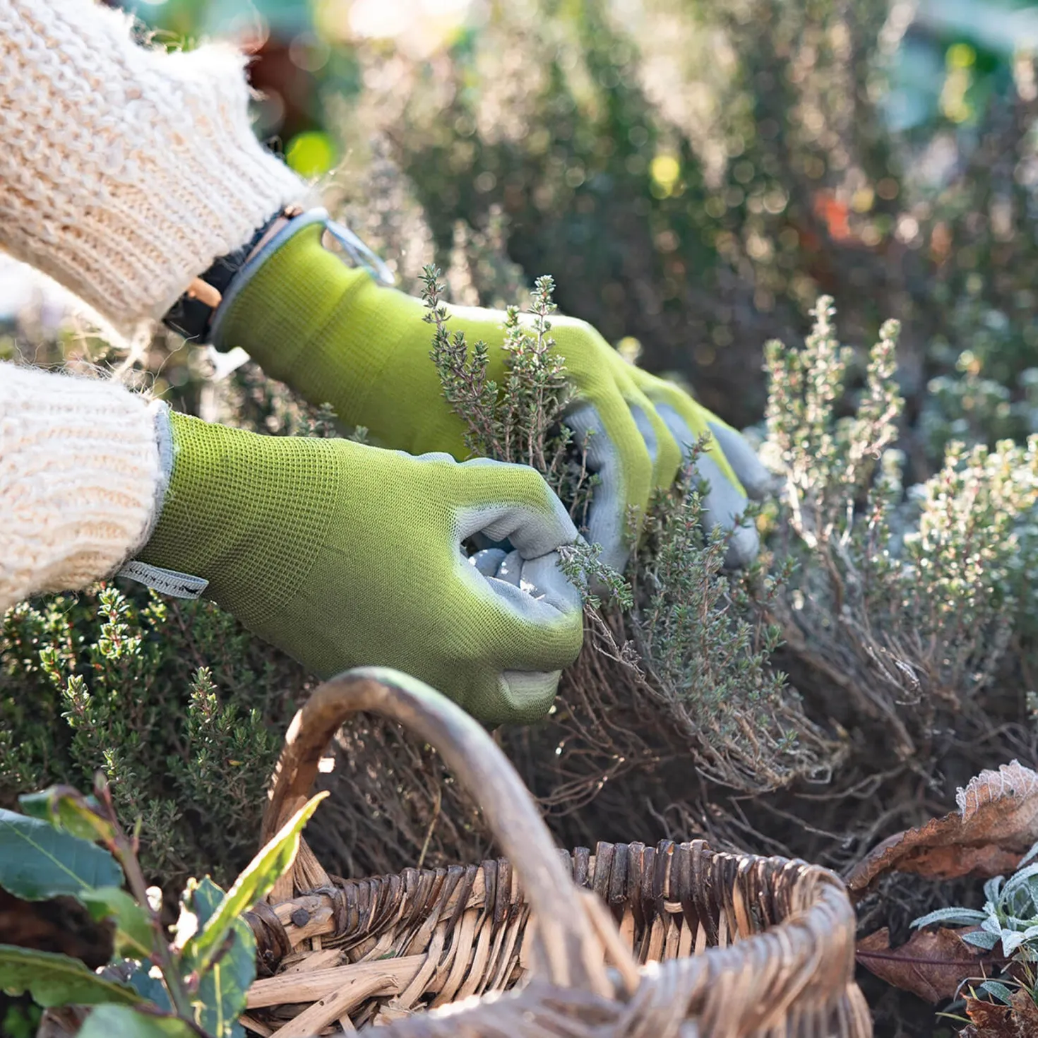 Gartenhandschuhe grün-anis - Schutz sofort einsatzbereit