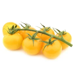 Gelbe Cherrytomate ‚Raisin‘ - Süße gelbe Naschtomaten