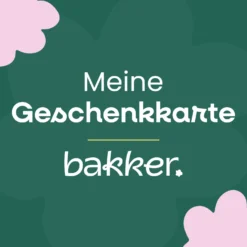 Geschenkkarte - Schenken leicht gemacht