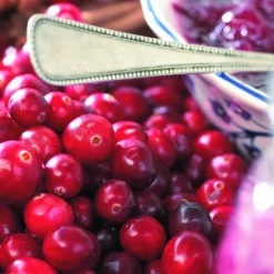Großfrüchtige Moosbeere - Rote Ernte, ganz easy