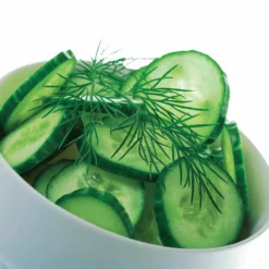 Gurke ‘Marketer’ - Knackig frisch aus dem Garten