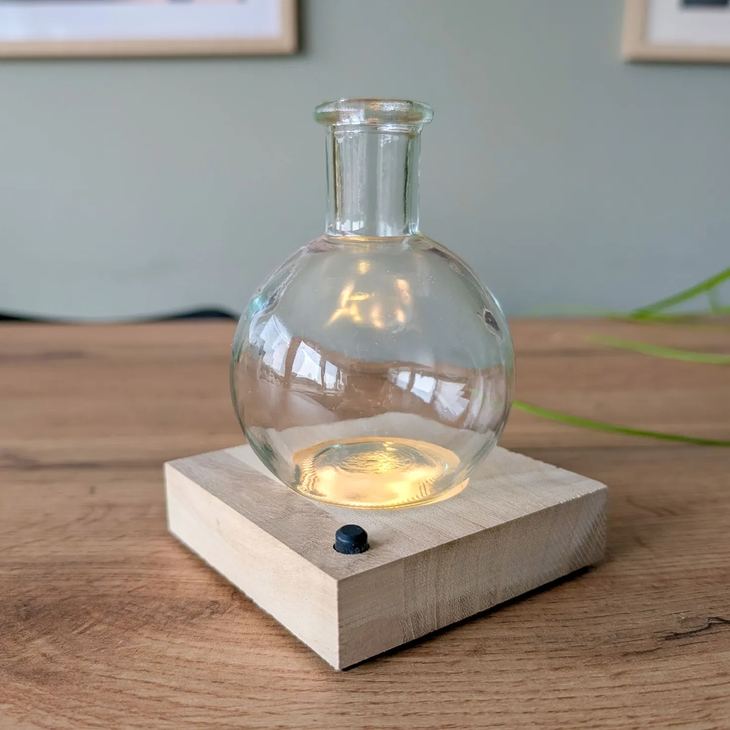 Hydro P7 + LED - Pflanzen ohne Erde