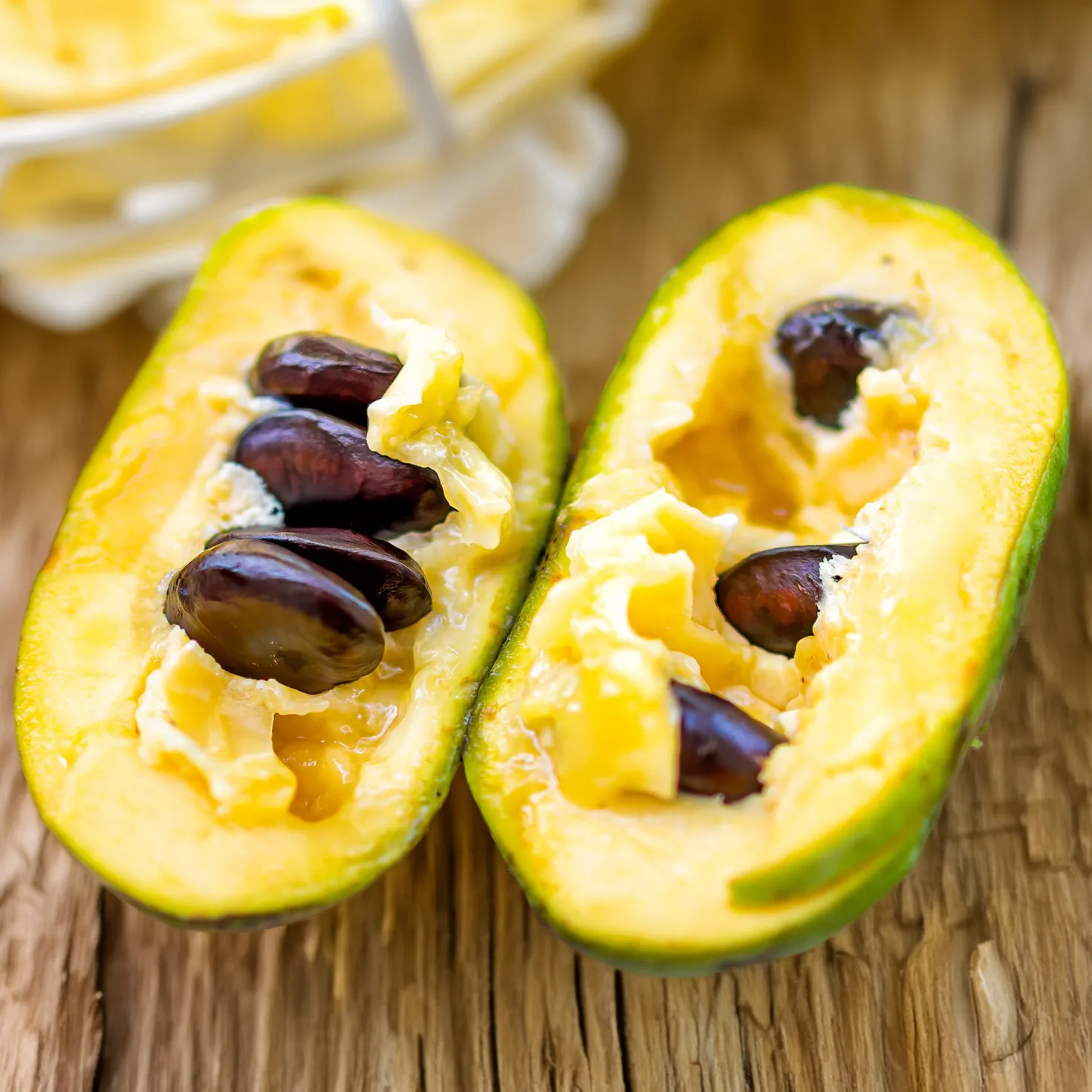 Indianerbanane (Pawpaw) - Tropengeschmack im Garten