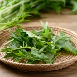 Japanischer Salatkohl Mizuna Bio - Frische Ernte in nur 40 Tagen