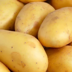 Kartoffel 'Goldmarie' (x25) - Goldgelb, cremig, einfach