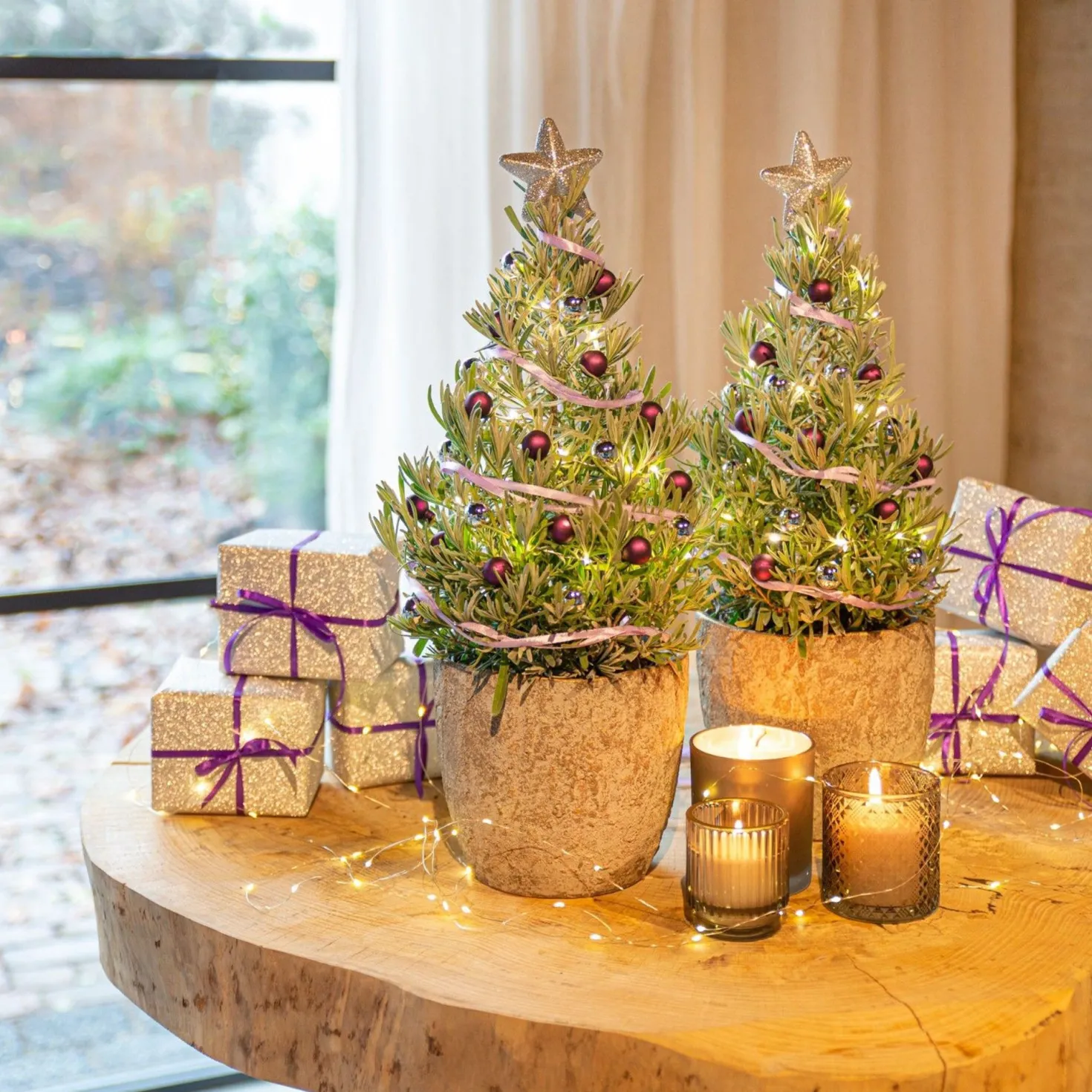Lavendel ' Weihnachtsbaum' - Duftend und festlich