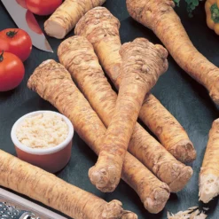 Meerrettich - Scharf frisch aus dem Beet