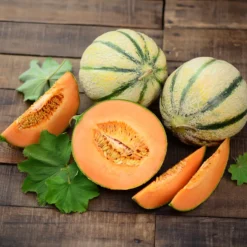 Melone ‘Cantaloup charentais’ - Süß und saftig im Sommer