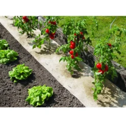 Natürliche Mulchfolie - Weniger Unkraut, mehr Ernte