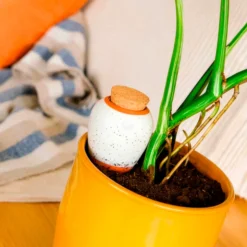 Olla – Gekörntes Weiß - Weniger gießen, mehr ernten