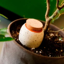 Olla – Gekörntes Weiß - Weniger gießen, mehr ernten