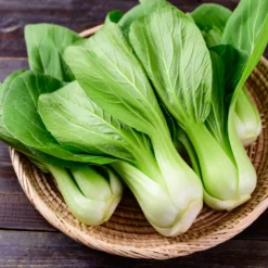 Pak Choi ‘Green Fortune’ F1 - Ernte in nur 6 Wochen