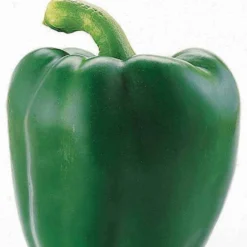 Paprika Lamuyo F1 - Große Paprika, süßes Aroma