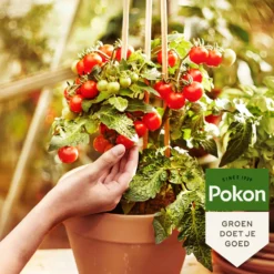 Pokon Bio Gemüsegartenerde - Gemüse direkt losziehen