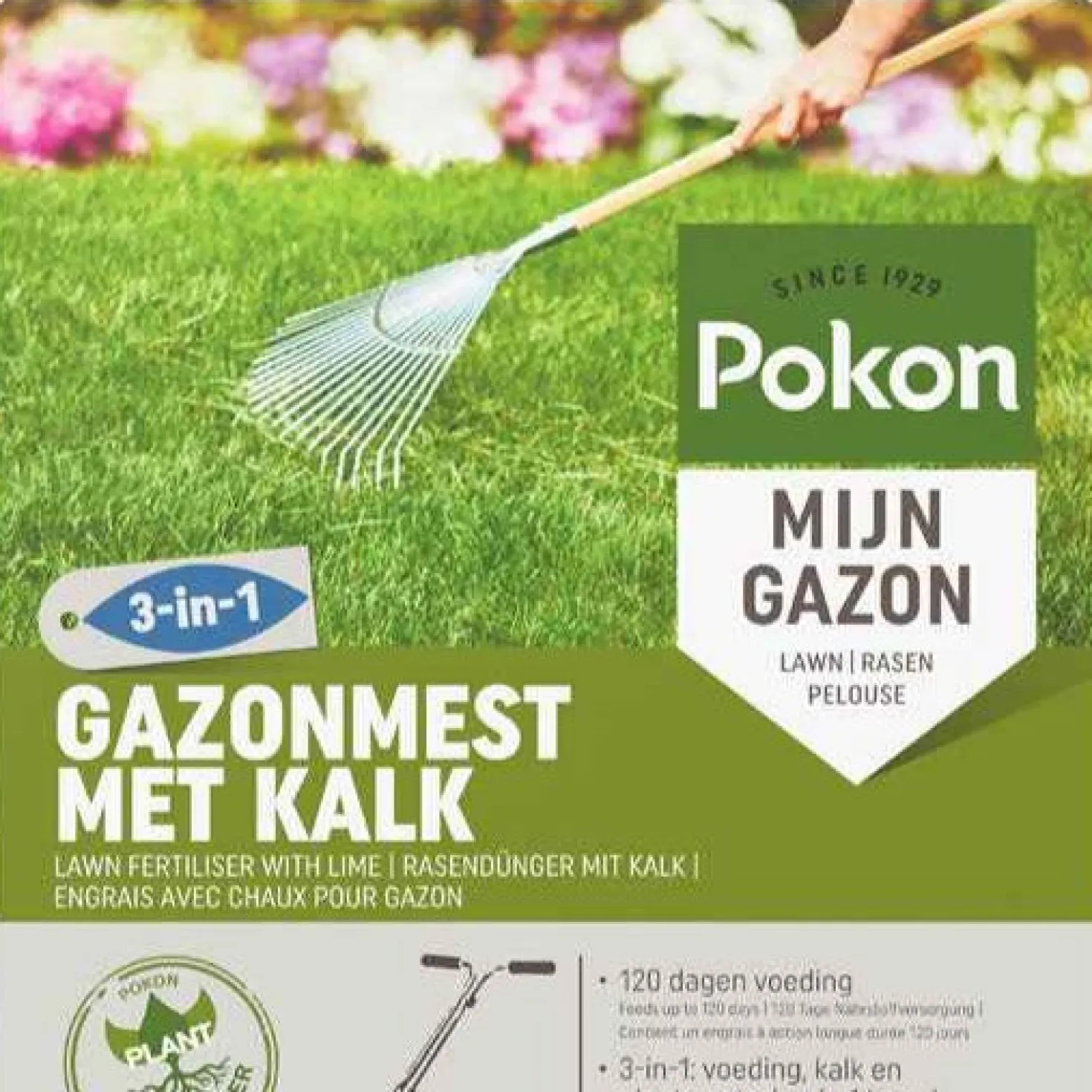 Pokon Bio Rasendünger mit Kalk - Grüner Rasen in einem Schritt