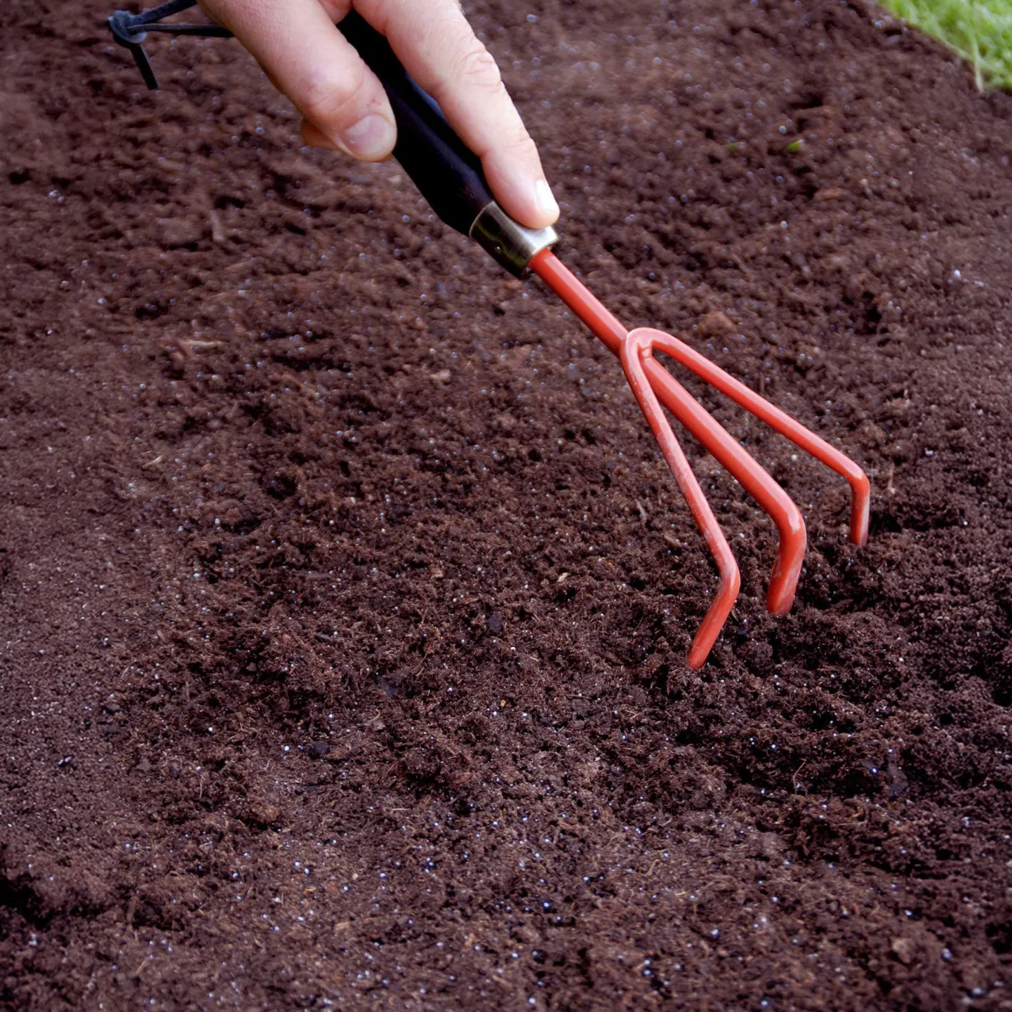 Saatteppich für Blumenrabatten - Blütenmeer ohne Mühe