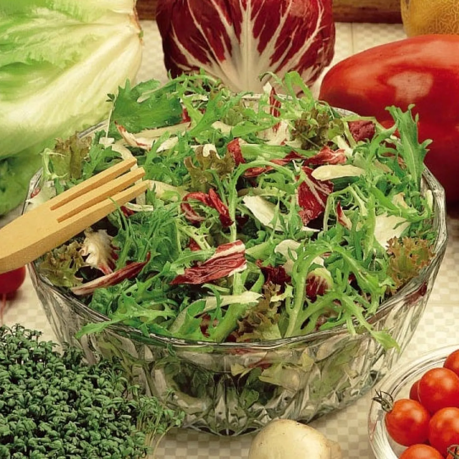 Salat in einer Gastronomenschnittmischung - Frischer Salat direkt geerntet