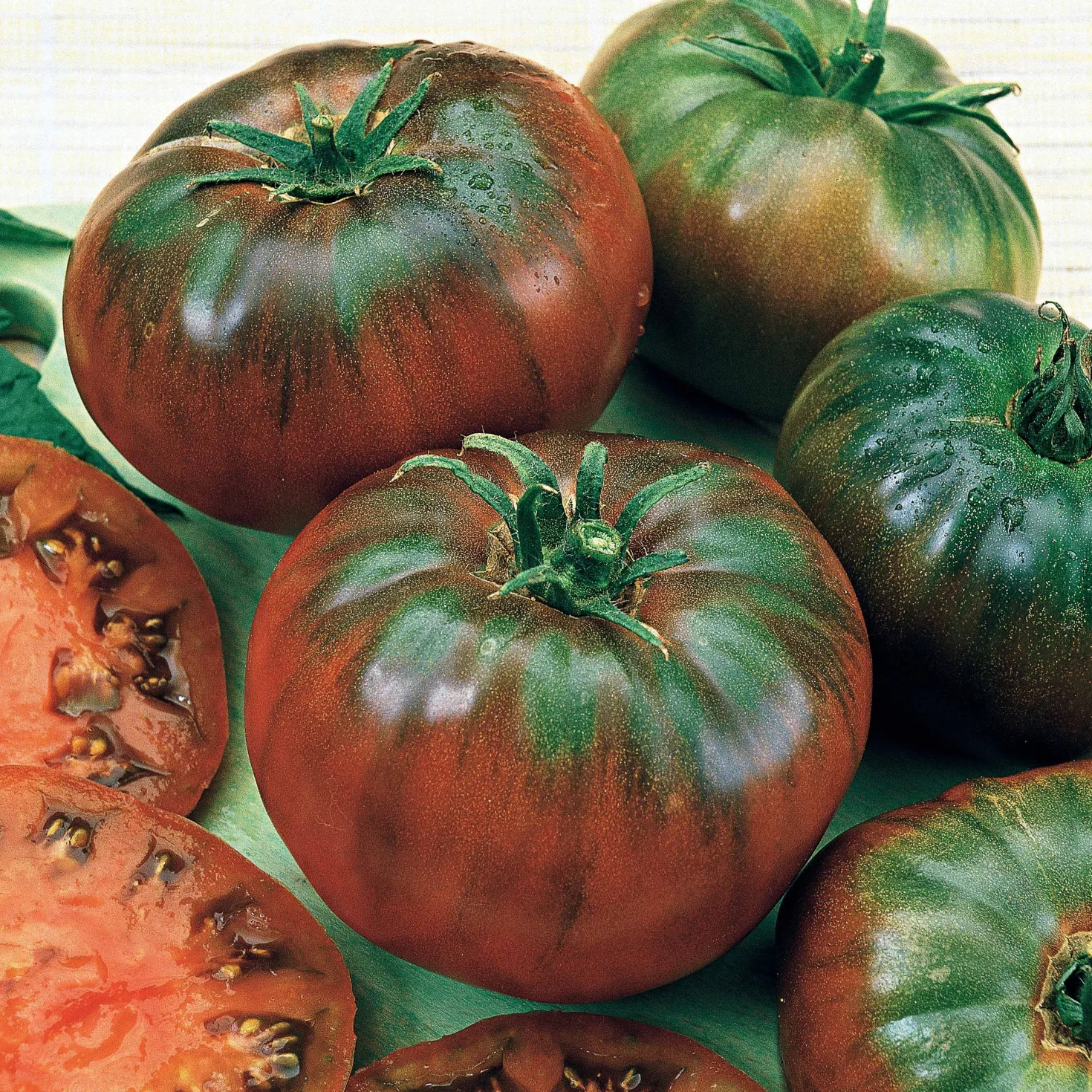 Schwarze Fleischtomate 'Noire Russe' - Dunkle Ernte voller Aroma