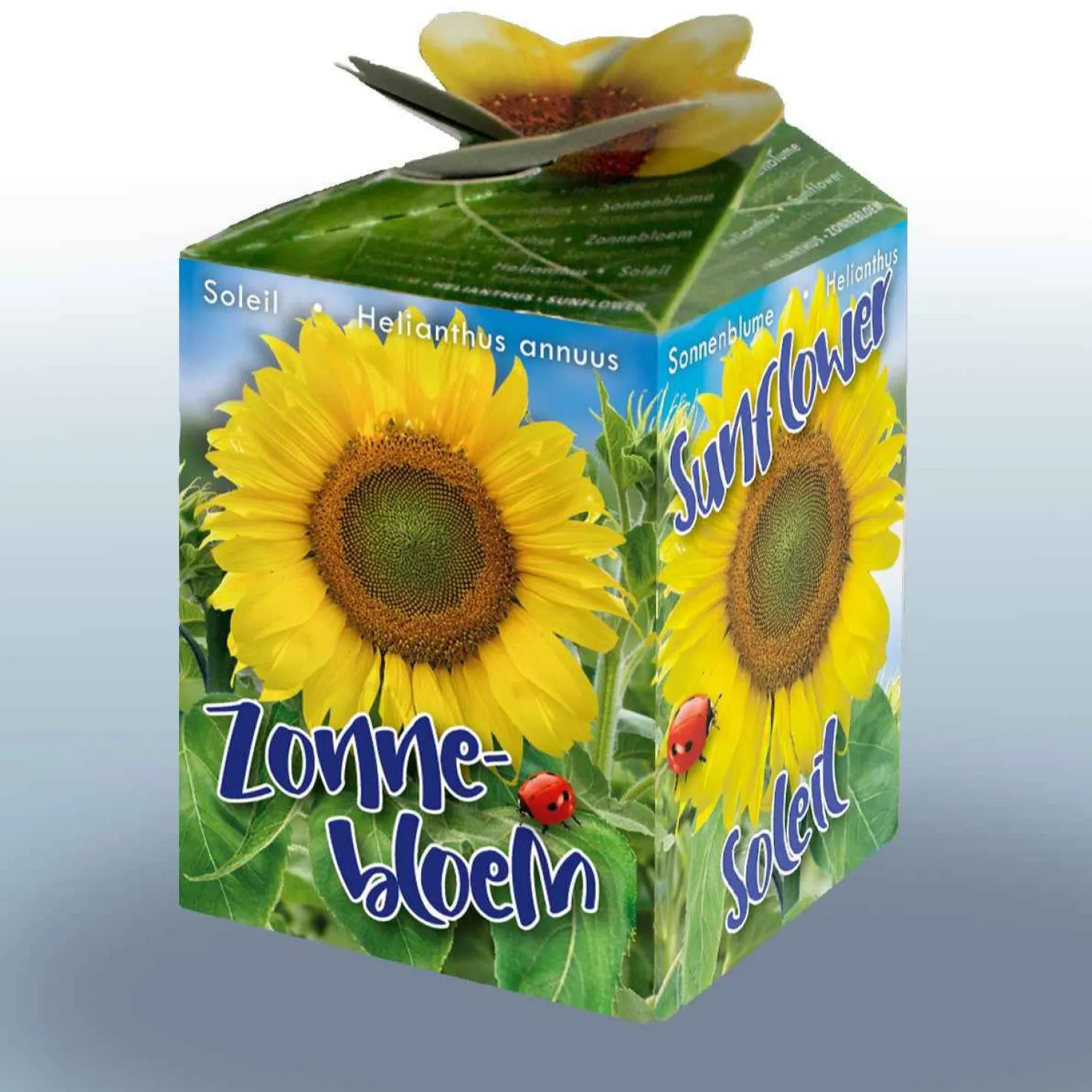 Sonnenblumen-Set - Sommer voller Sonnenblumen